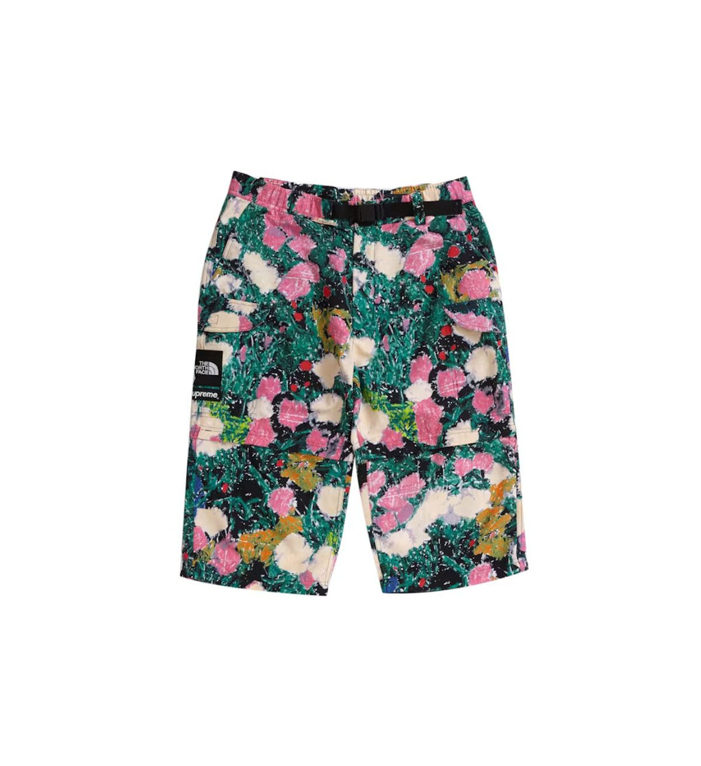 Supreme The North Face Trekking Pants with Belt Flowers