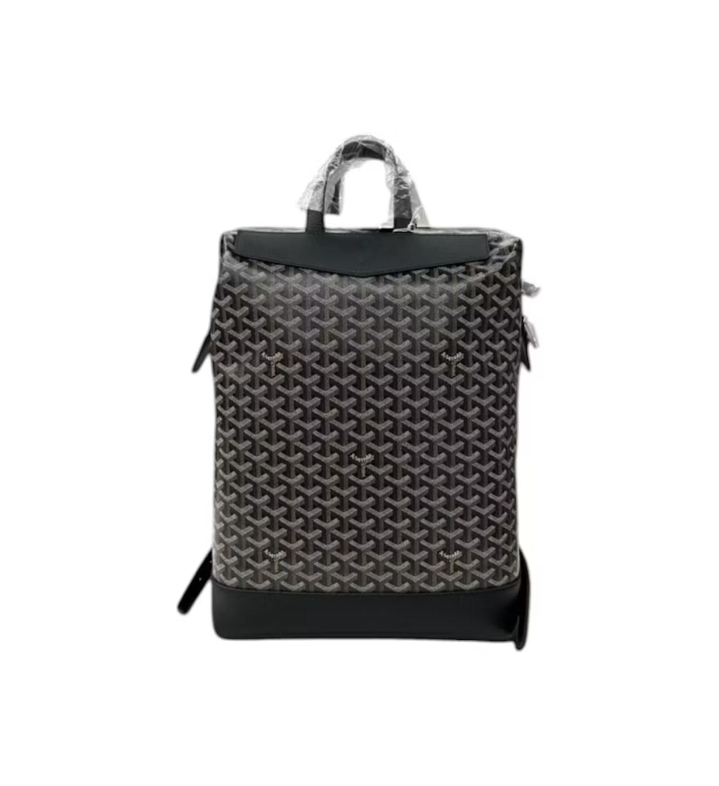 Goyard Cisalpin Backpack Black