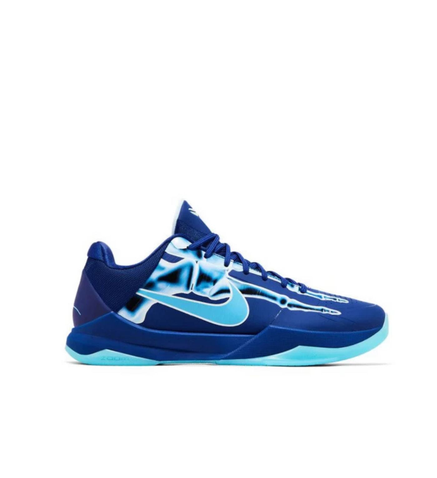 •Zoom Kobe 5 Protro 'X-Ray'